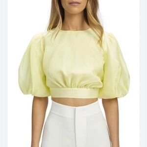 Bardot Enya Cutout Organza Crop Top in Sunshine Large